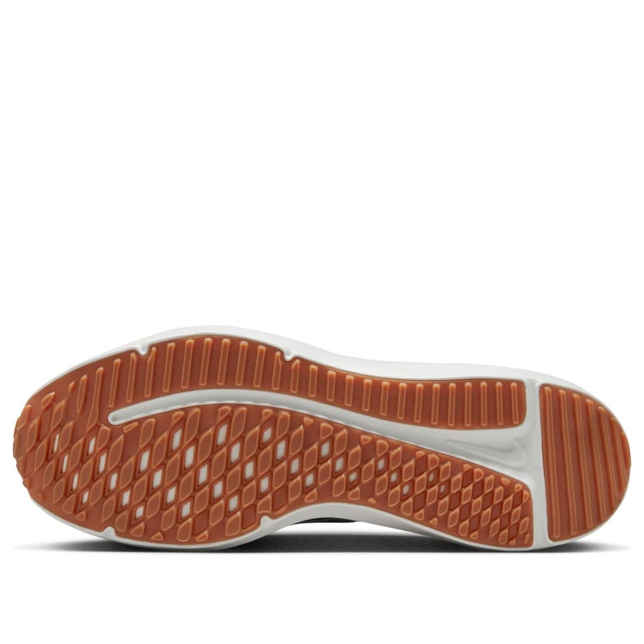 (WMNS) Nike Downshifter 12 'Black Canyon Rust Summit White Mint Foam' DD9294-007