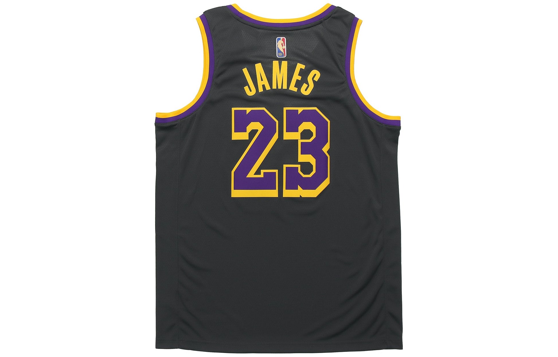 Nike NBA LeBron James Los Angeles Lakers 2020/21 Fan Edition Jersey #23 CN9929-013