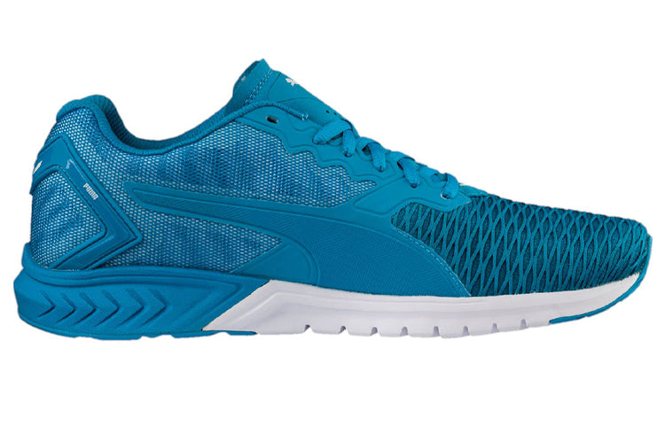 PUMA Ignite Dual Sport Shoes Blue 189094-09