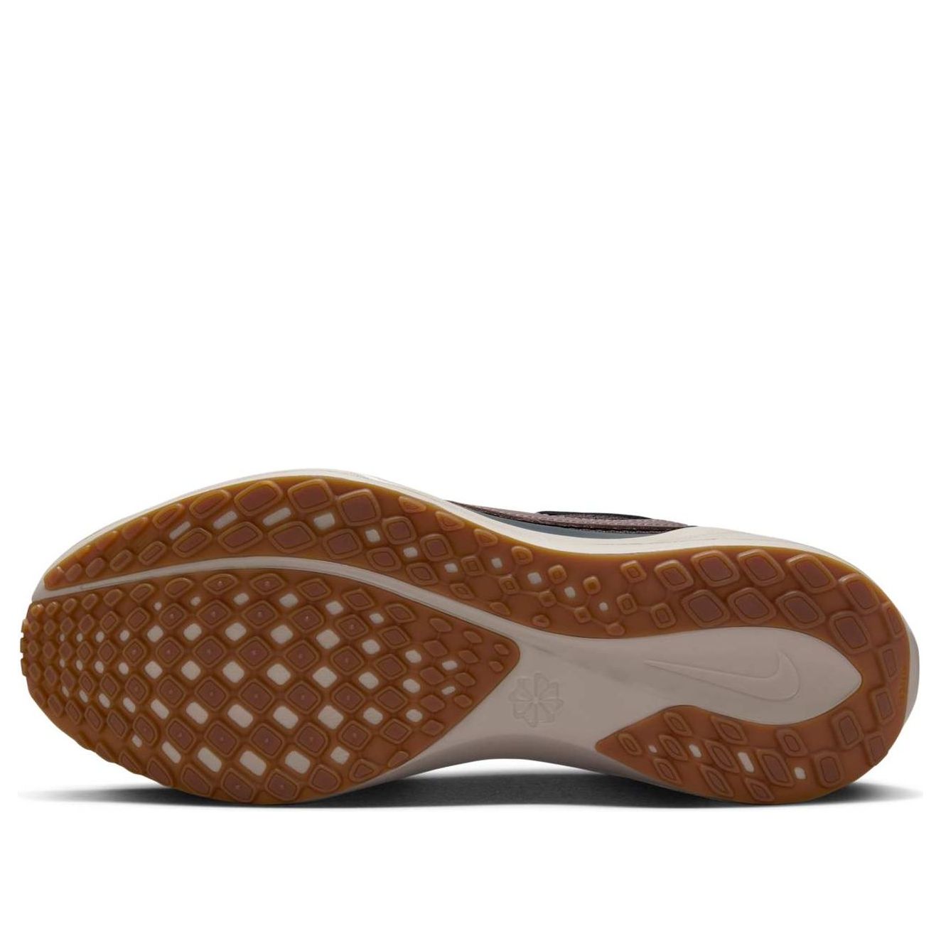 Nike Air Zoom Pegasus 41 SP 'Black Tea Dark Obsidian' HQ6025-200