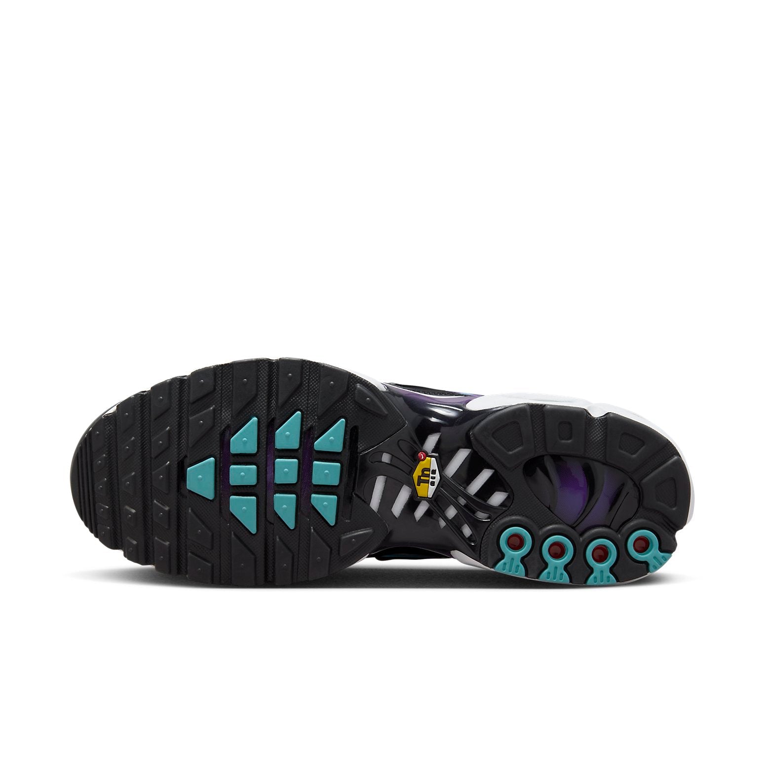 Nike Air Max Plus 'Reverse Grape' FQ2415-500