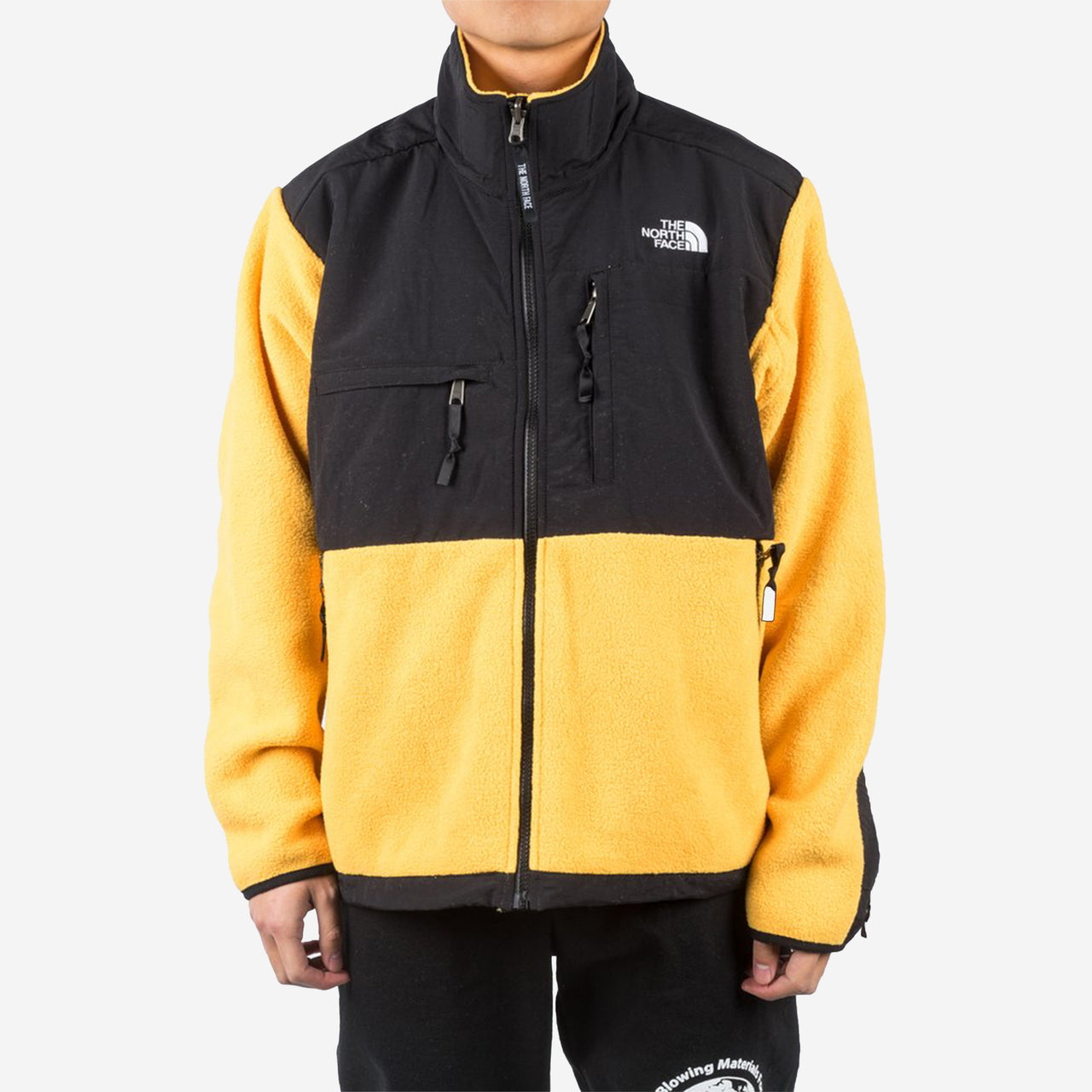 THE NORTH FACE Men's'95 Retro Denali Jacket NF0A3XCD70M