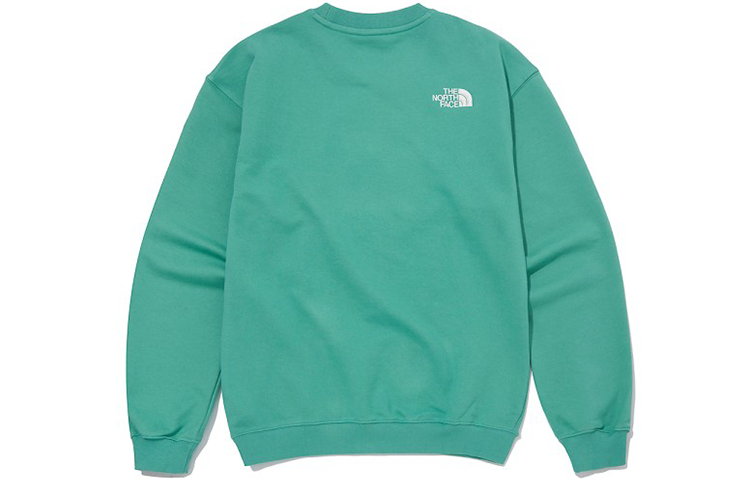THE NORTH FACE Essential Sweater 'Teal' NM5MM04C