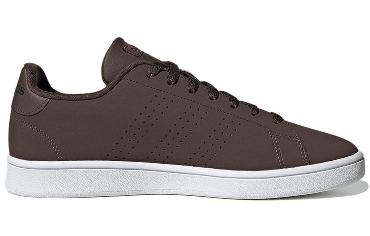adidas Advantage Base 'Brown White' FV8536