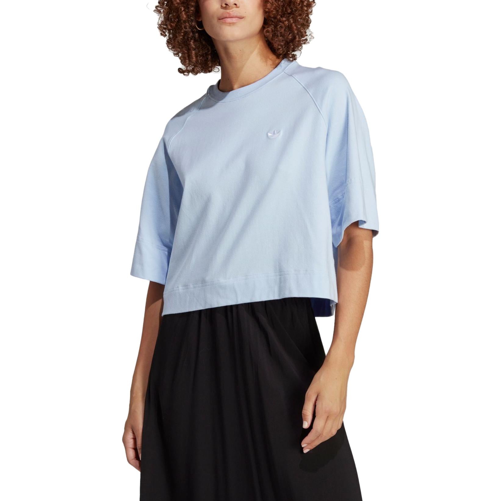 (WMNS) adidas Premium Essentials T-Shirt Asia Sizing 'Blue' IC5251