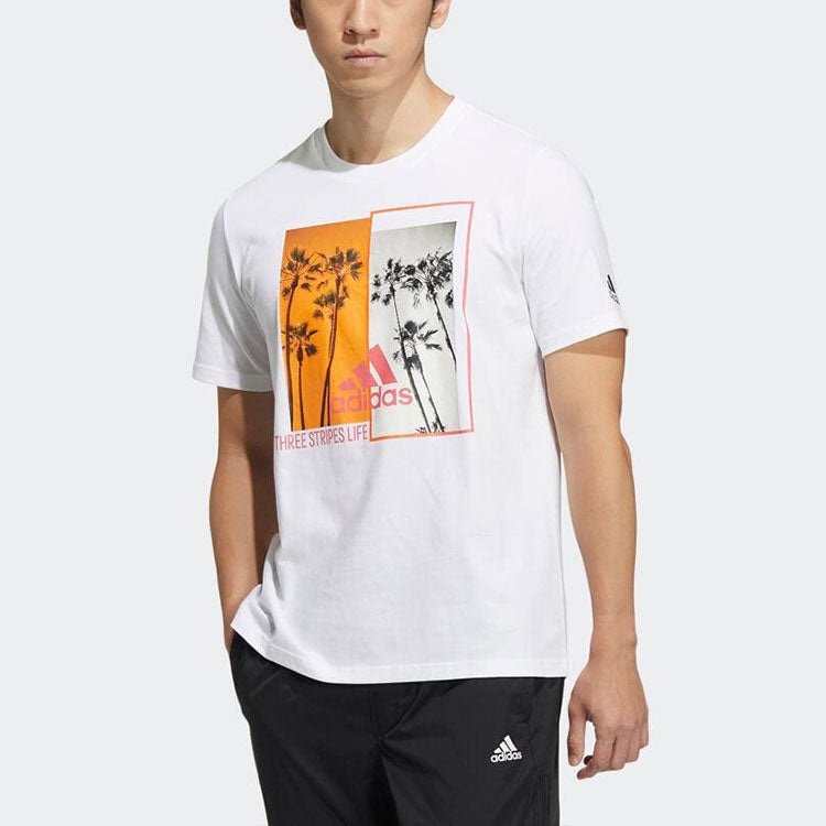 adidas LogoT HN0398