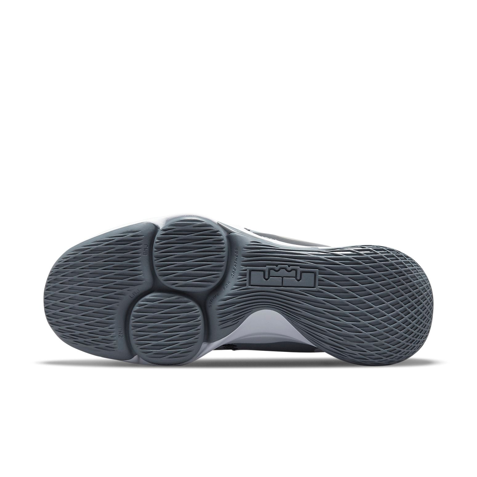 Nike LeBron Witness 5 'Cool Grey' CQ9380-007