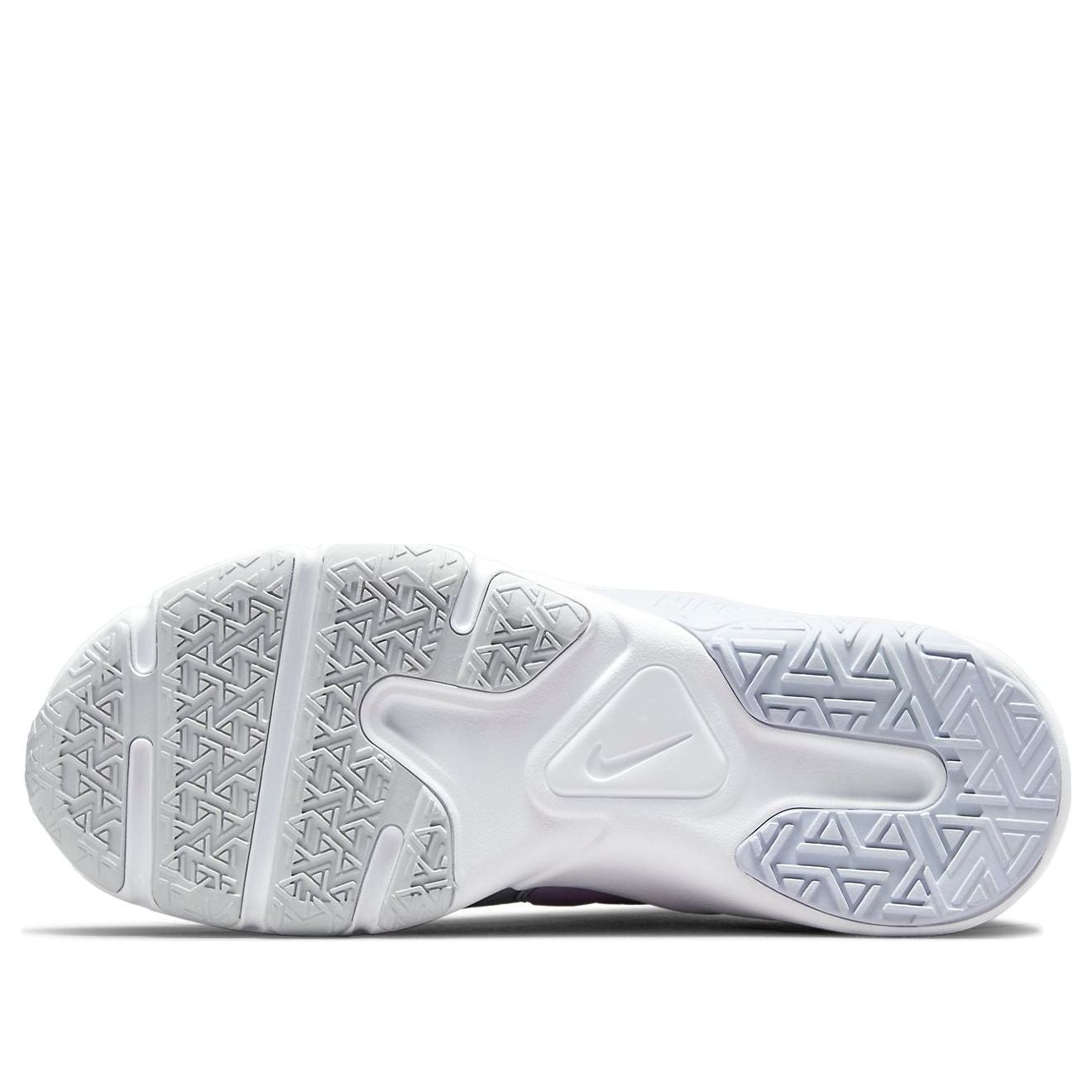 (WMNS) Nike Legend Essential 2 CQ9545-006