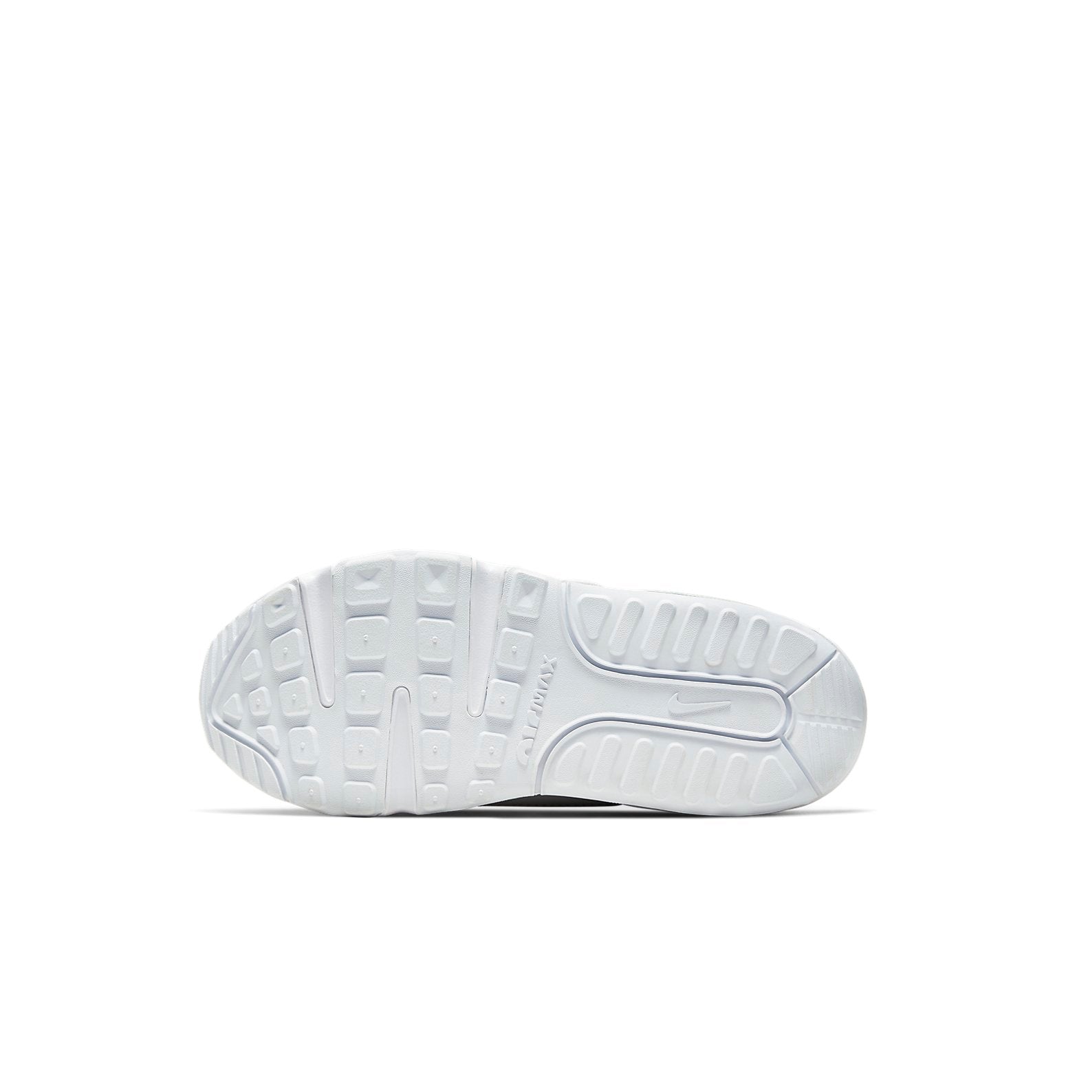 (PS) Nike Air Max 2090 'White Wolf Grey' CU2093-100
