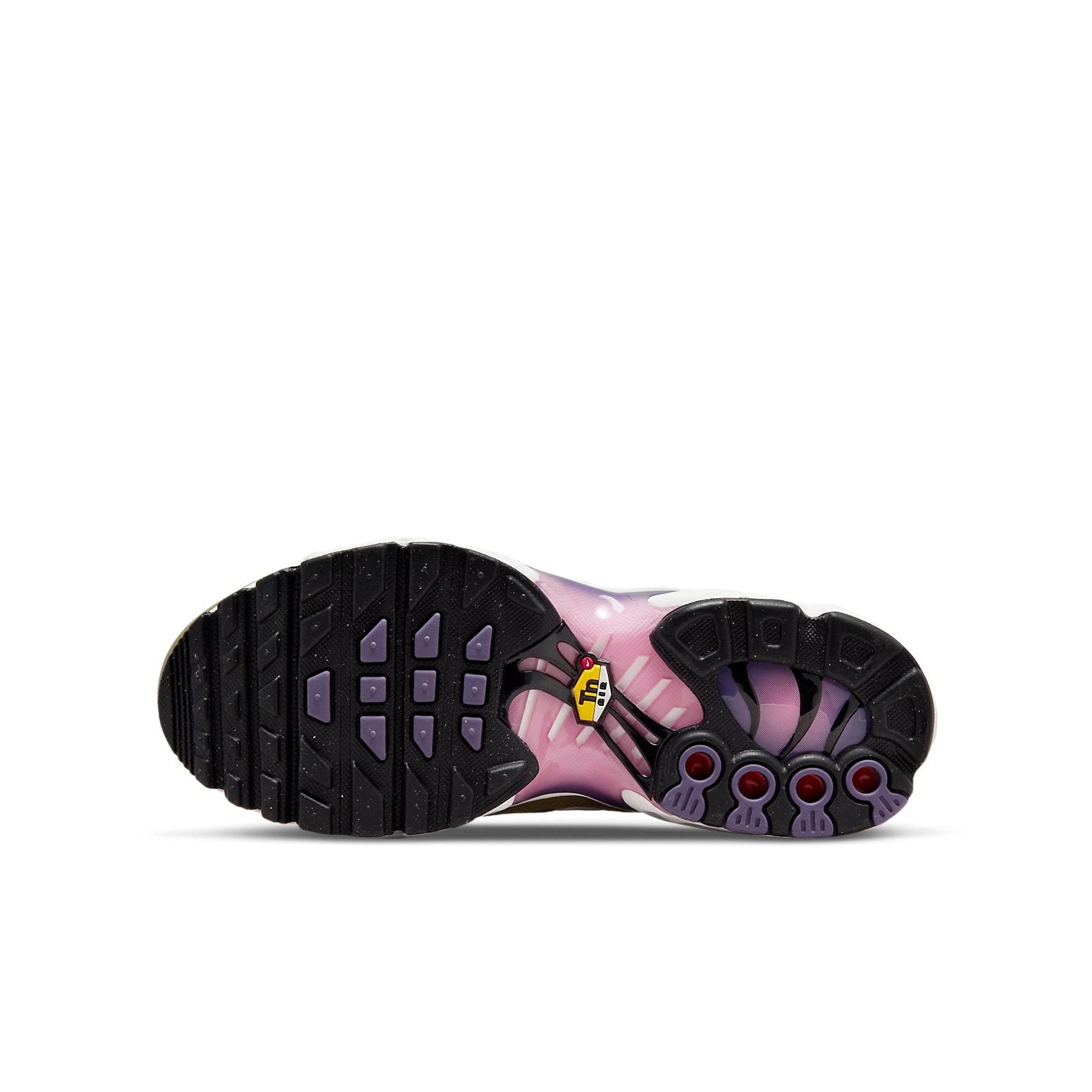 (GS) Nike Air Max Plus 'Black Canyon Purple' DX3093-001