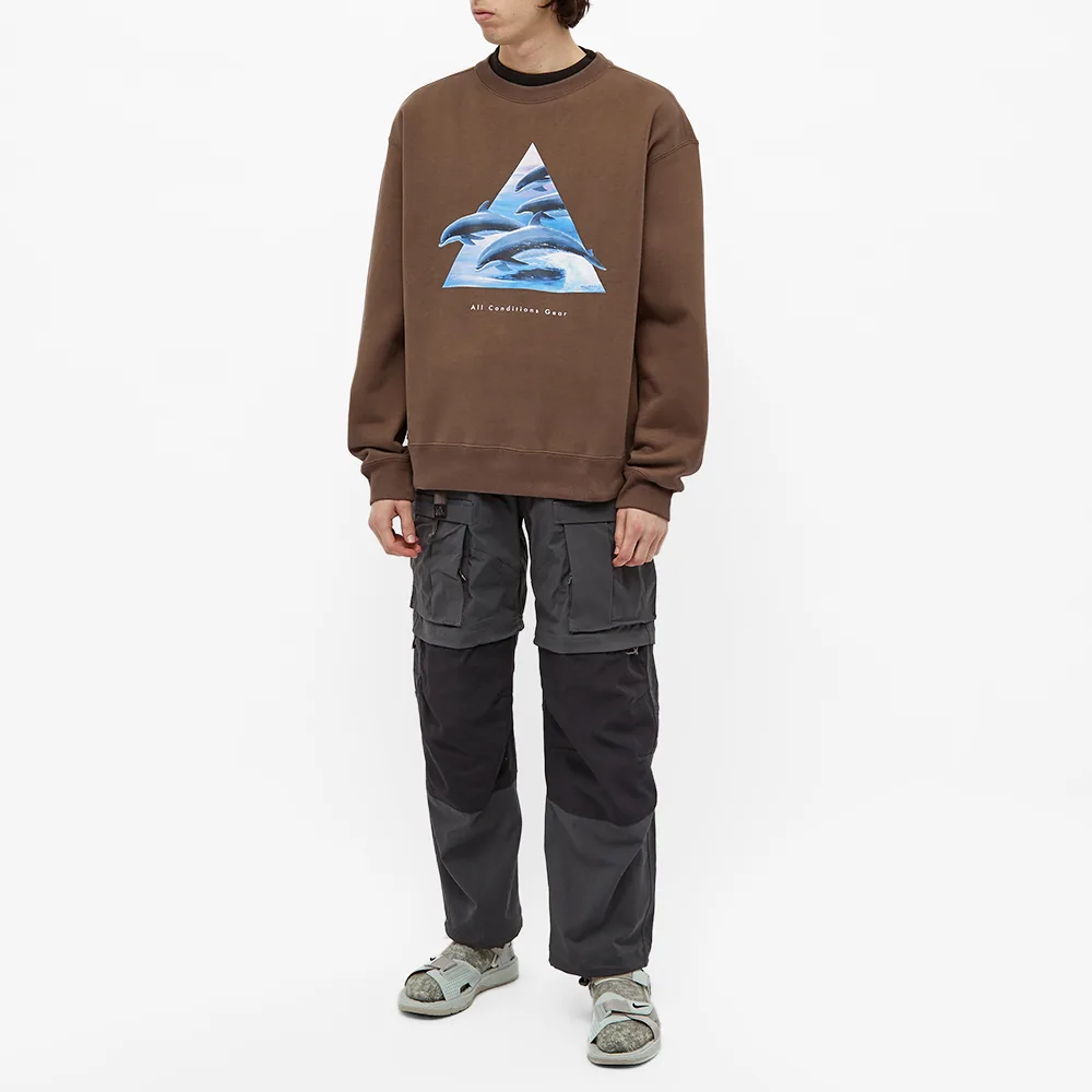 Nike ACG Whale Crew Sweat 'Ironstone Smoke Grey' DH1580-004