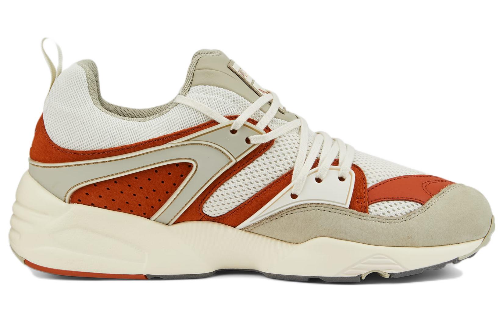 PUMA Blaze Of Glory 'Vaporous Grey Warm Chestnut' 387575-03