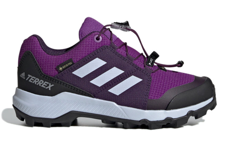 (GS) adidas Terrex Gtx 'Purple' BC0600