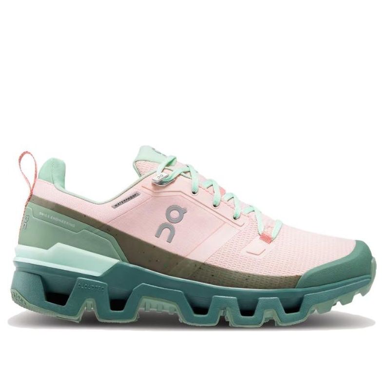 (WMNS) On Running Cloudwander Waterproof 'Doe Ivy' 73.98278