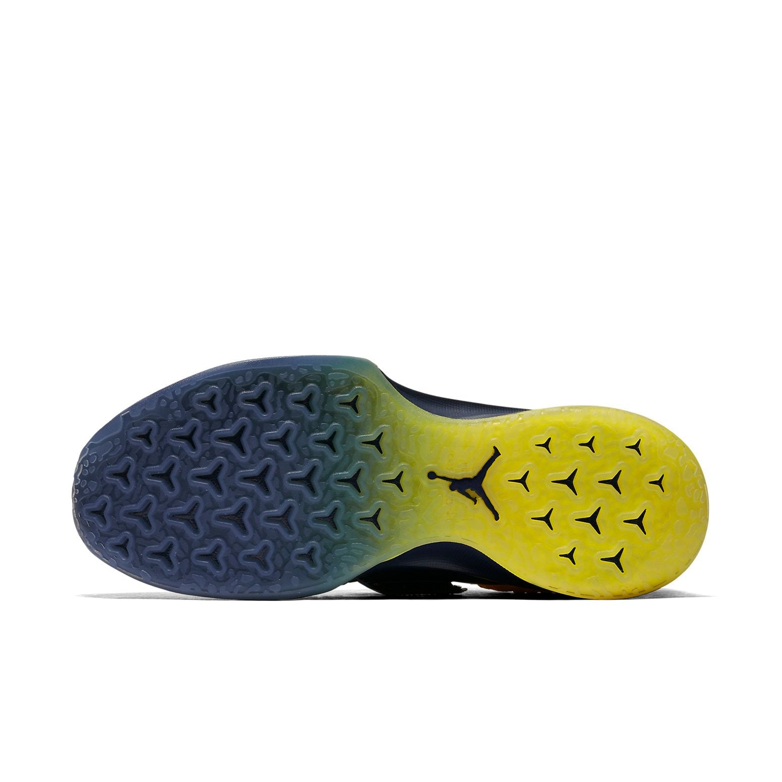 Air Jordan Trainer 2 Flyknit 'Michigan' 921210-407