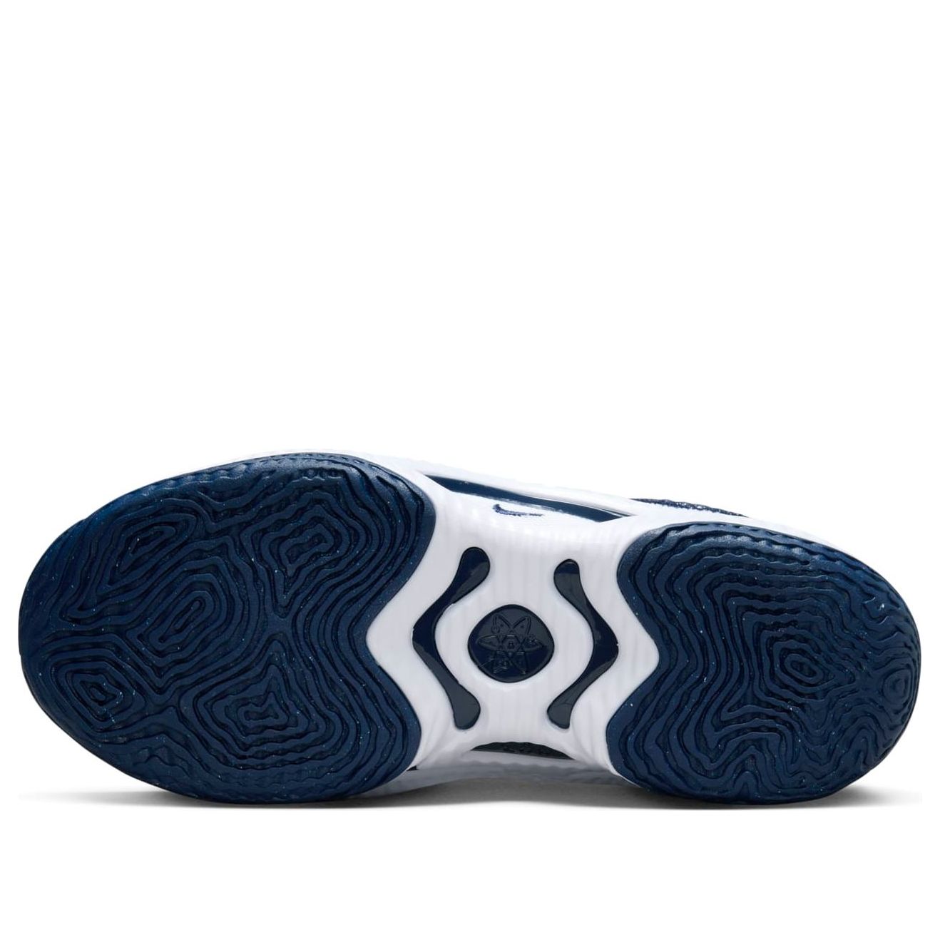 Nike Cosmic Unity 3 DZ2906-401