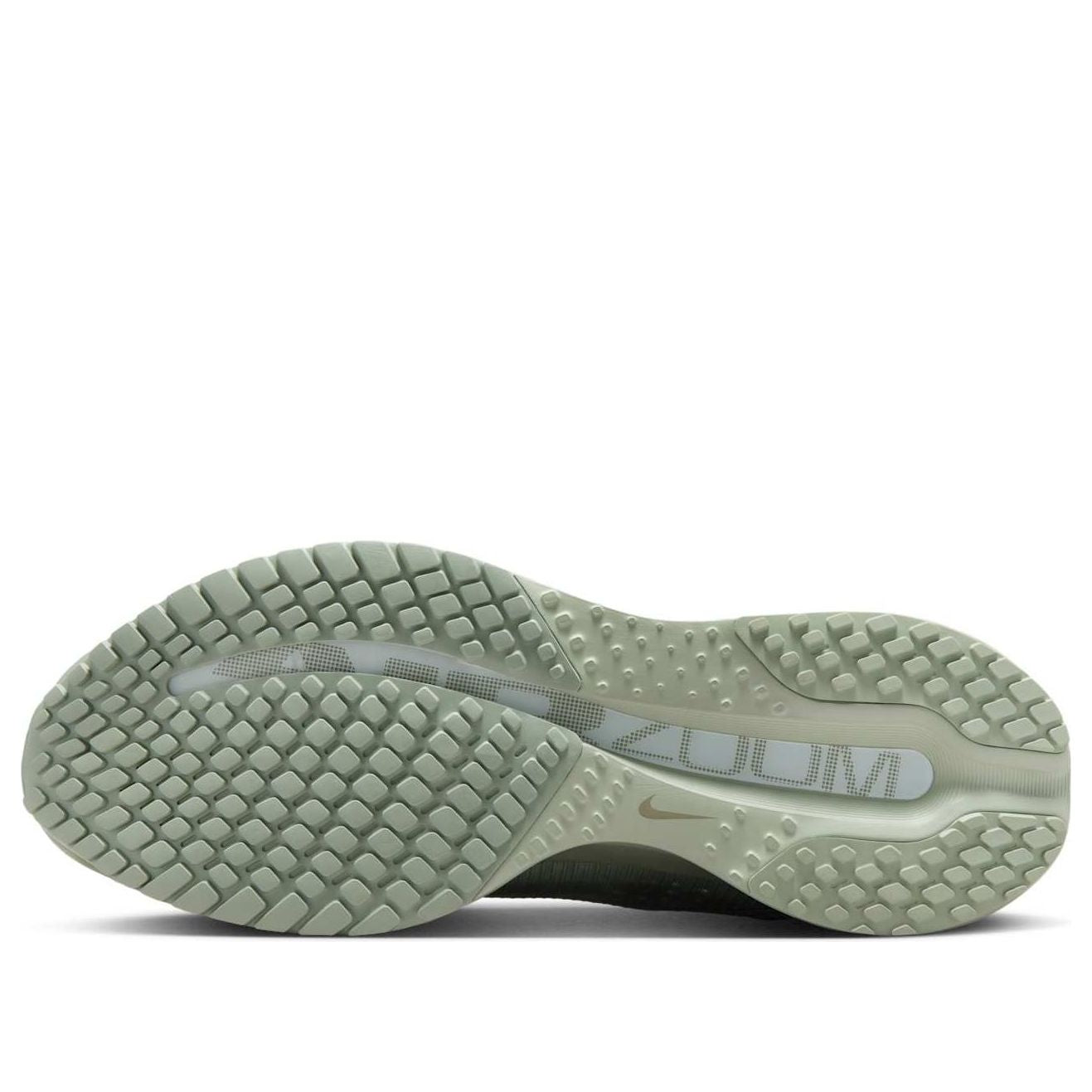 Nike Pegasus Premium 'Jade Horizon' HQ2592-300