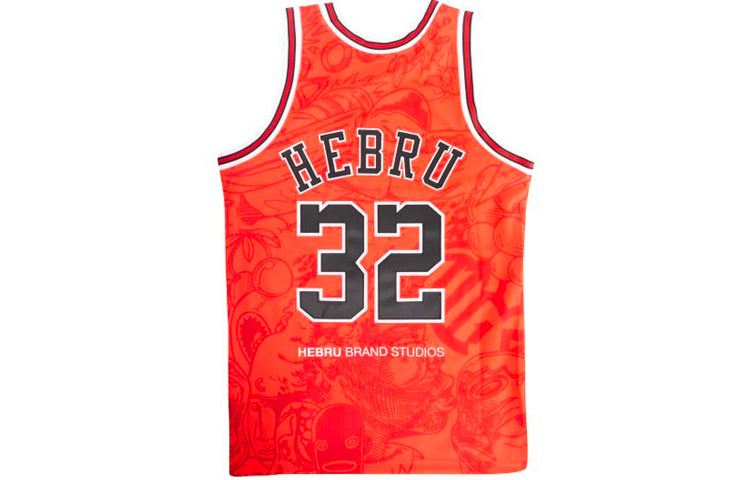 Mitchell & Ness NBA x Hebru Brantley 95-96  32 AJY4LF19082-CBURED1