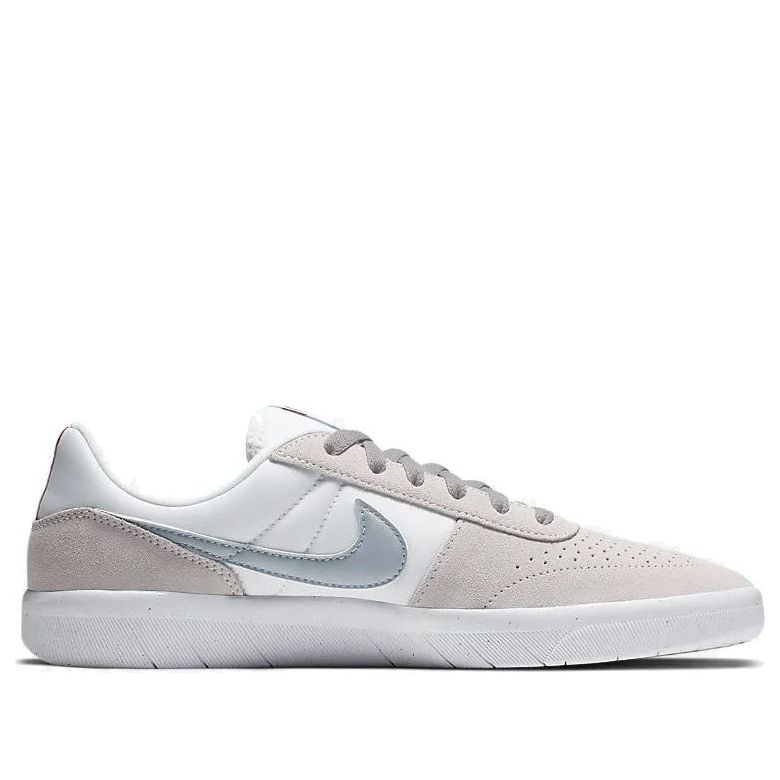 Nike Team Classic SB 'Vast Grey' AH3360-009