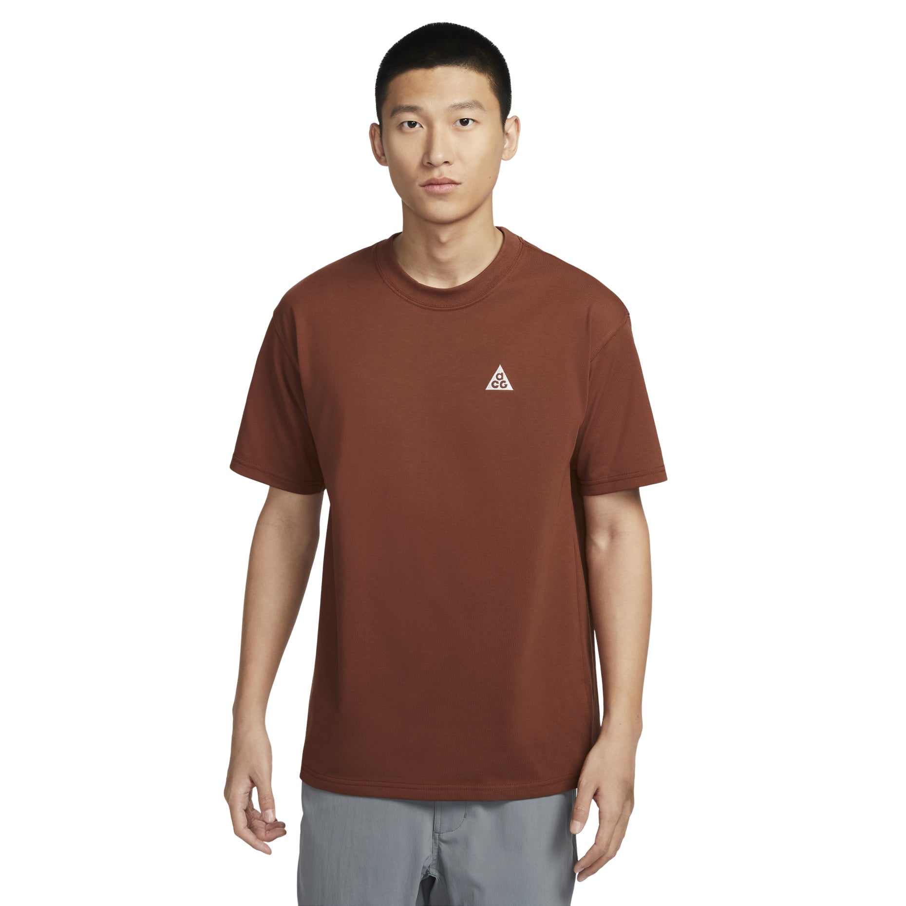 Nike ACG Max90 T-shirt Asia Sizing 'Brown' HJ0799-245