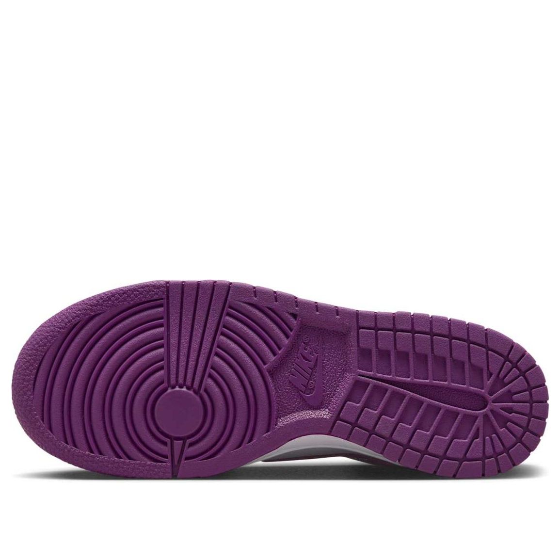 (GS) Nike Dunk Low 'Viotech' FB9109-110