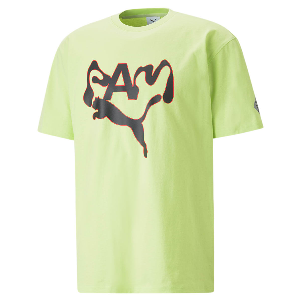 PUMA x P.A.M. Graphic T-shirt 'Green' 538810-39