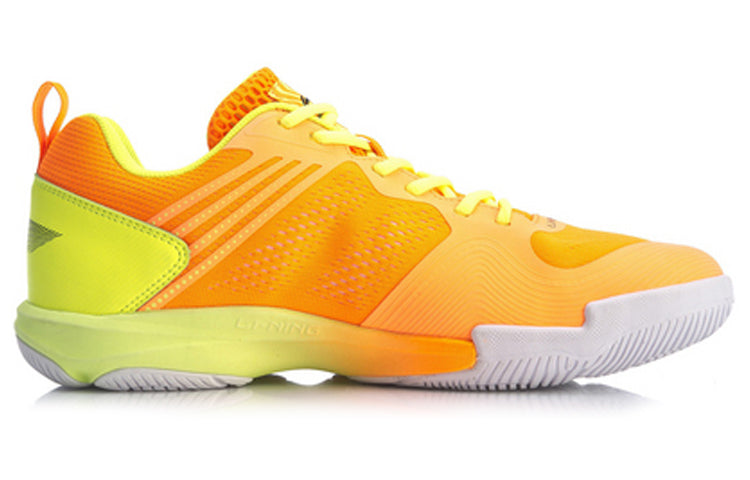Li-Ning Badminton Training Shoes AYTQ029-3