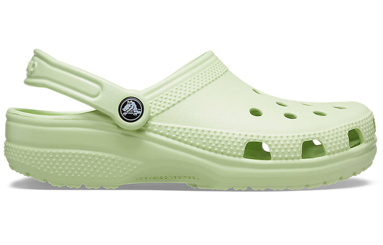 Crocs Classic Crocs Beach Unisex Gray Green Sandals 10001-335