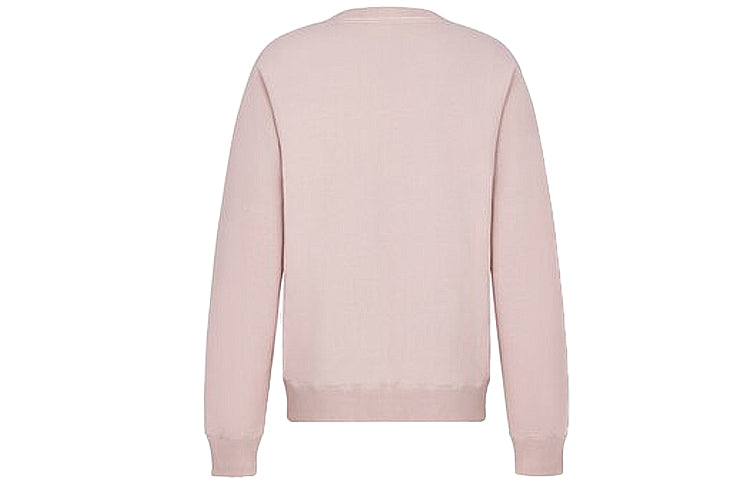 DIOR And Shawn Stussy Oversized Logo Print Sweatshirt For Men Pink 033J604B0531-C400