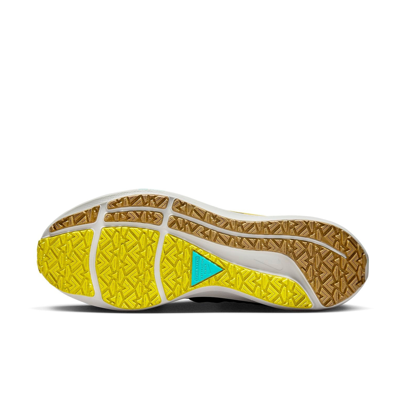 Nike Pegasus Turbo Shield 'Black Golden Beige' FV8107-070