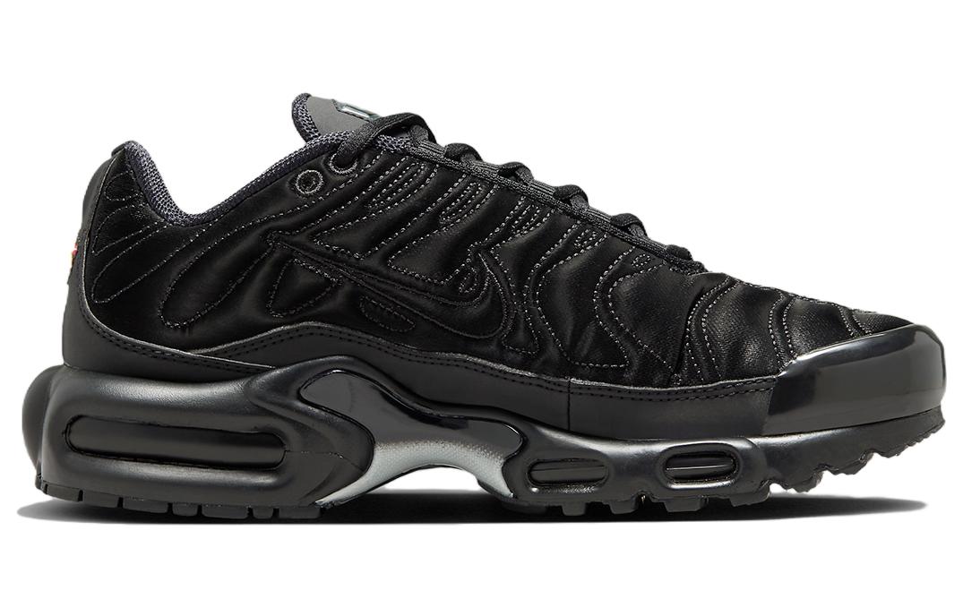 (WMNS) Nike Air Max Plus 'Black Anthracite Sail' FV1169-001