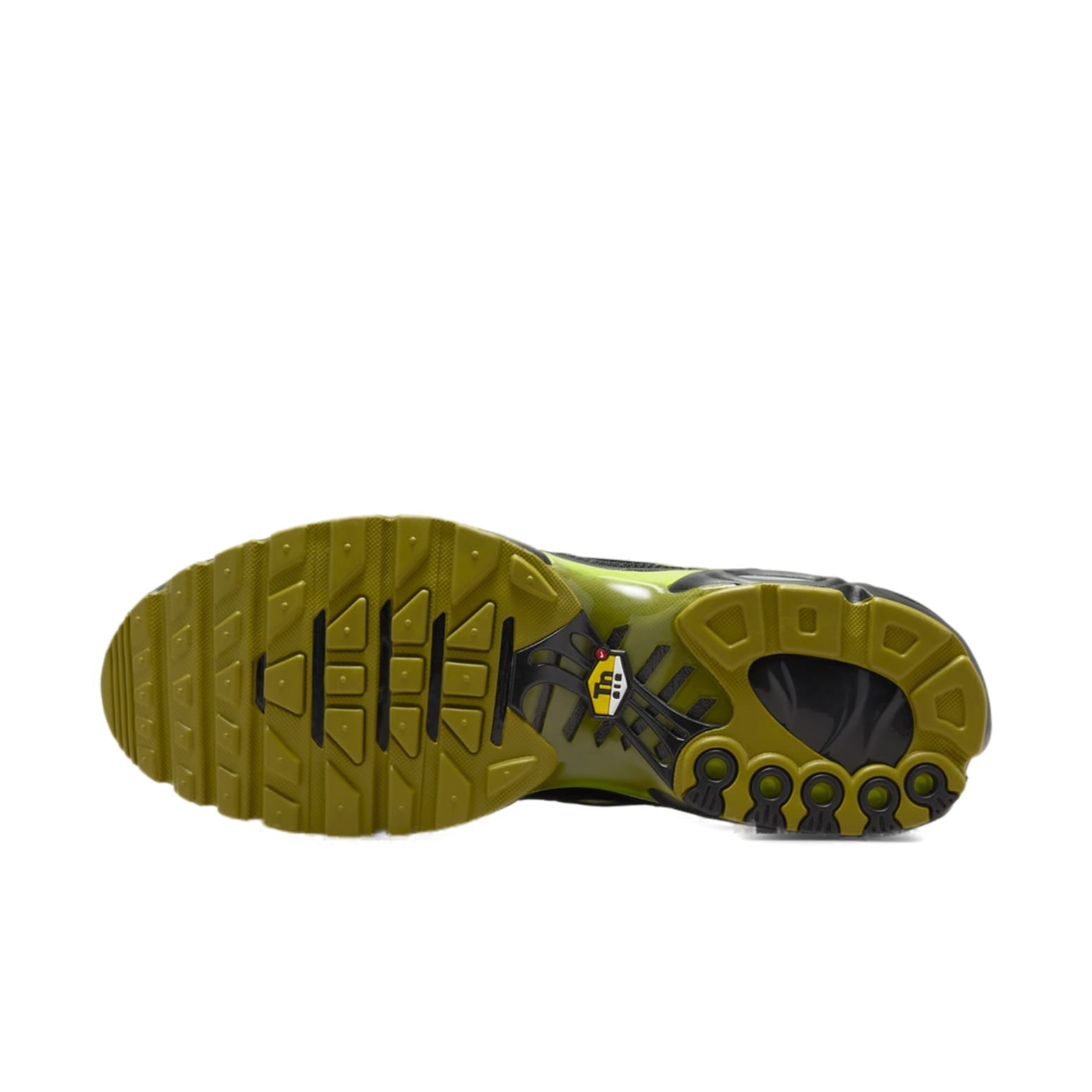 Nike Air Max Plus 'Pacific Moss' DM0032-010