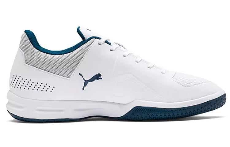PUMA Auriz Indoor Grey 105600-02