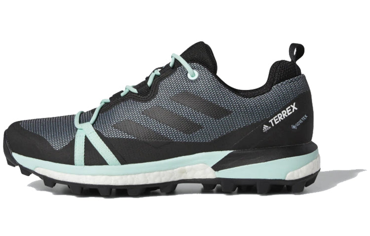 (WMNS) adidas Terrex Skychaser LT GTX 'Ash Grey Mint' F36120