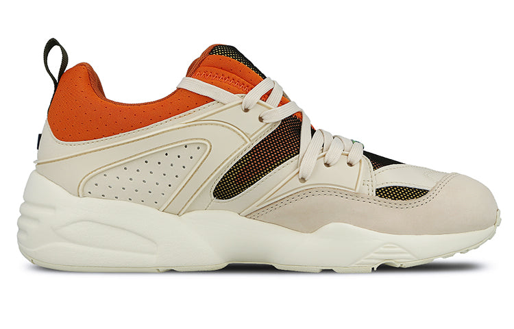 PUMA Blaze Of Glory Beige Low Tops Sports Shoe 361408-02