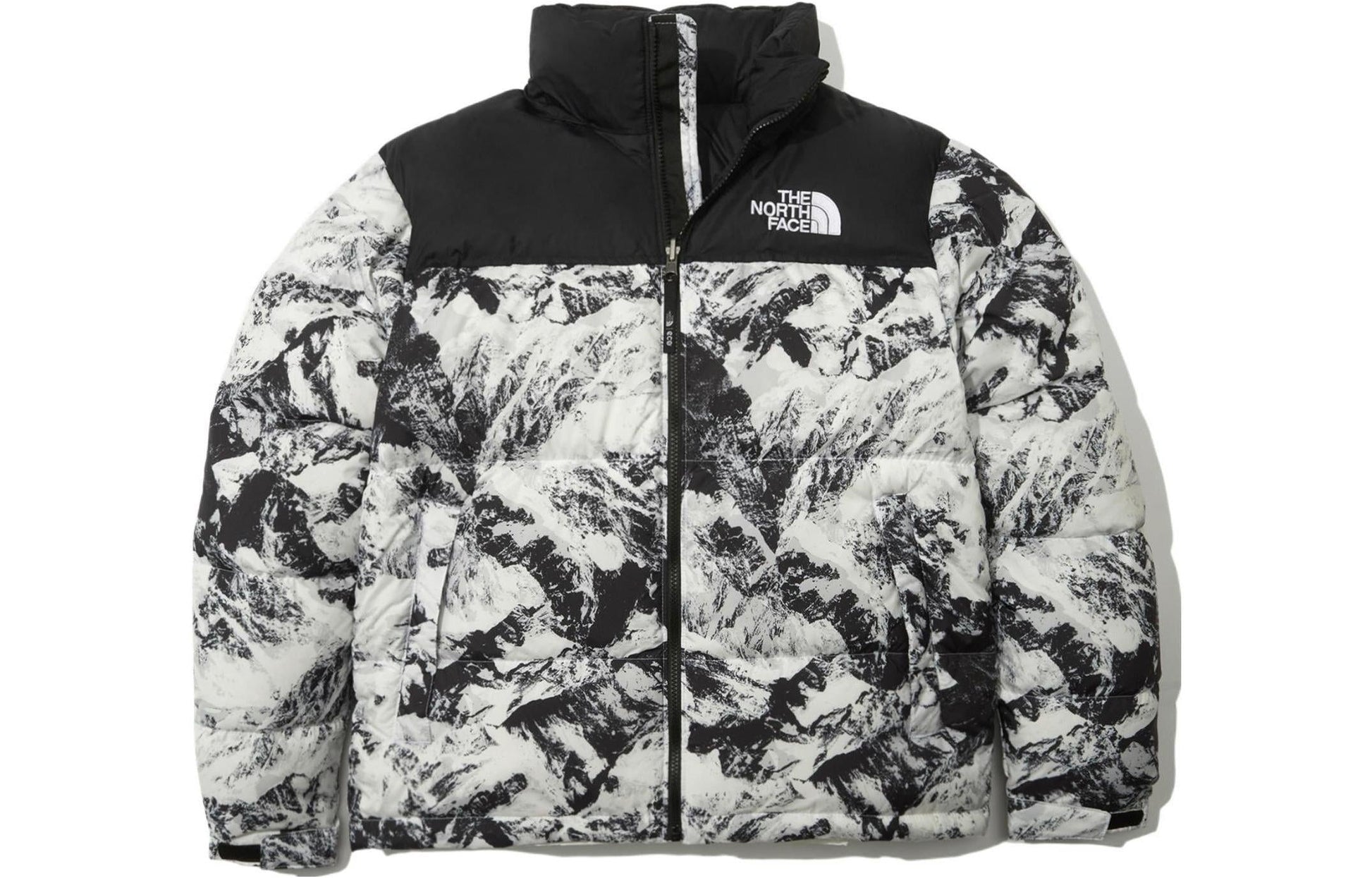 THE NORTH FACE 1996 Novelty Nuptse Jacket 'White' NJ1DN76A