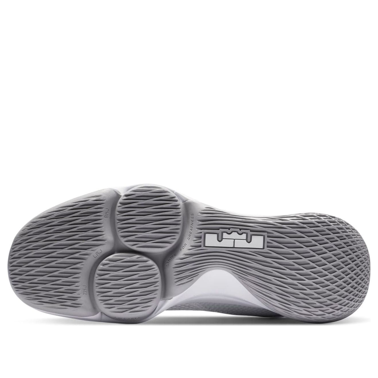Nike LeBron Witness 4 'White Wolf Grey' CV4004-100