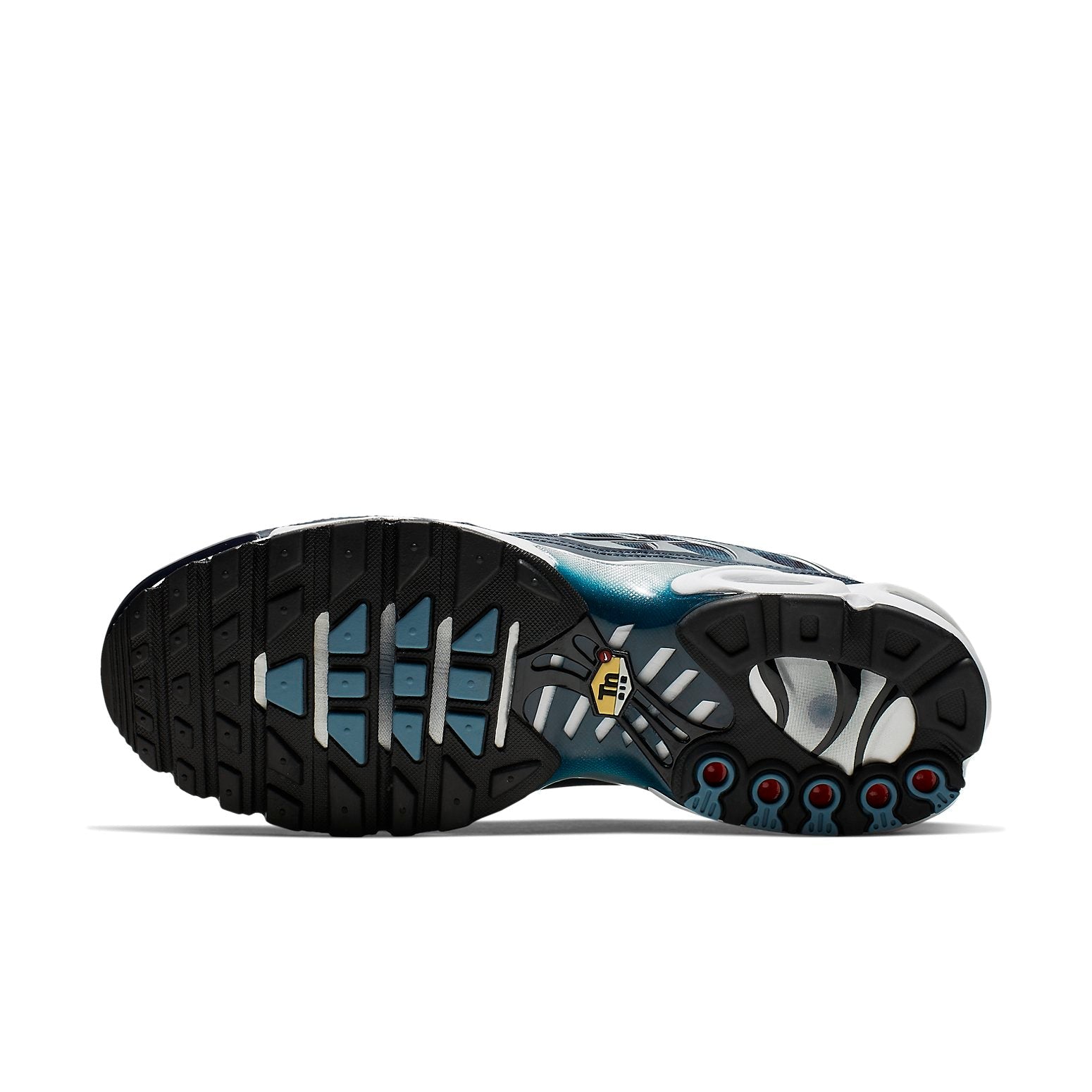 Nike Air Max Plus 'Palm Pack - Navy' CI2301-400