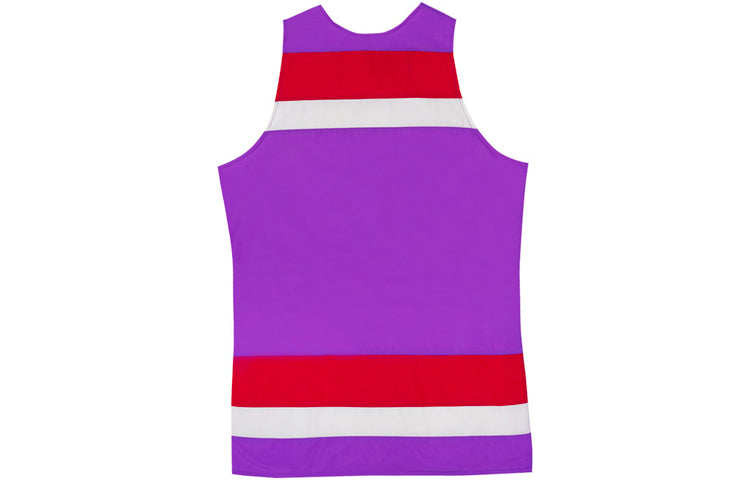 Mitchell & Ness NBA Toronto Raptors Hardwood Classics Striped Jersey TTNKBW19050-TRAPTPR