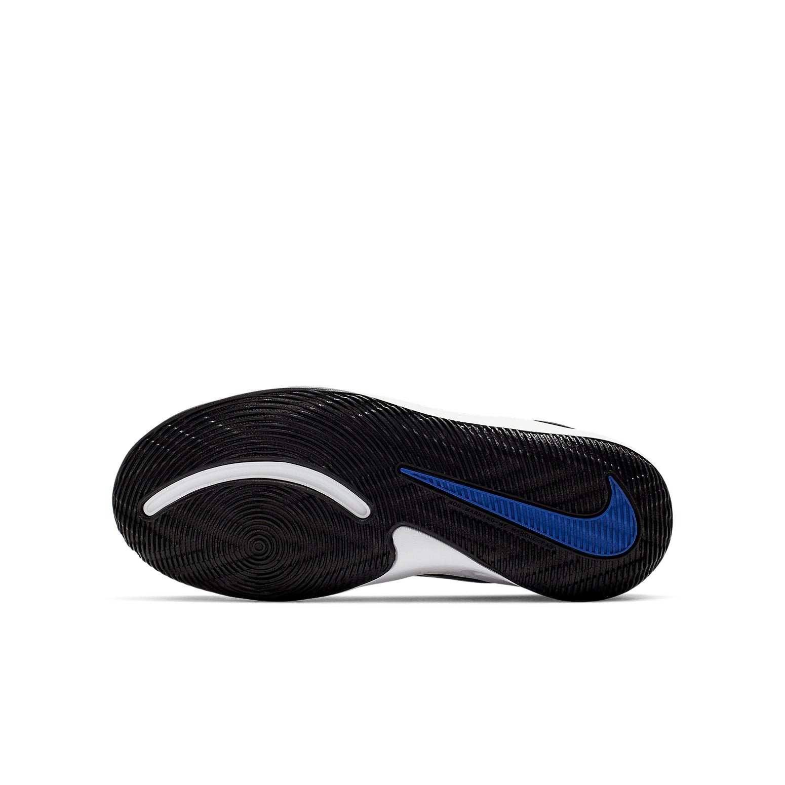 (GS) Nike Team Hustle D9 'Game Royal' AQ4224-400