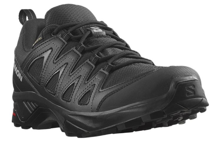 Salomon X Braze GTX 471804