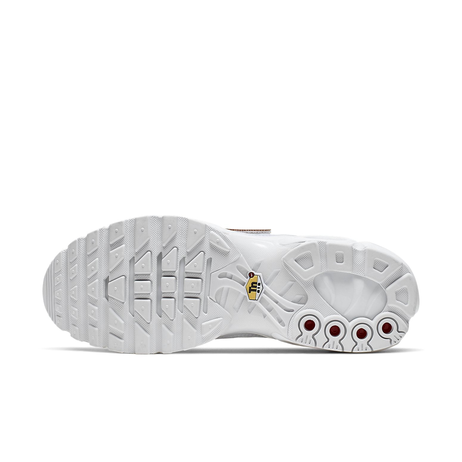 Nike Air Max Plus 'Removable Swoosh' CJ9696-100