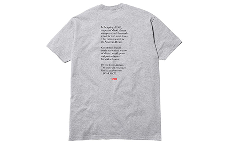 Supreme FW17 Scarface Shower Heather Grey Tee SS18-0218