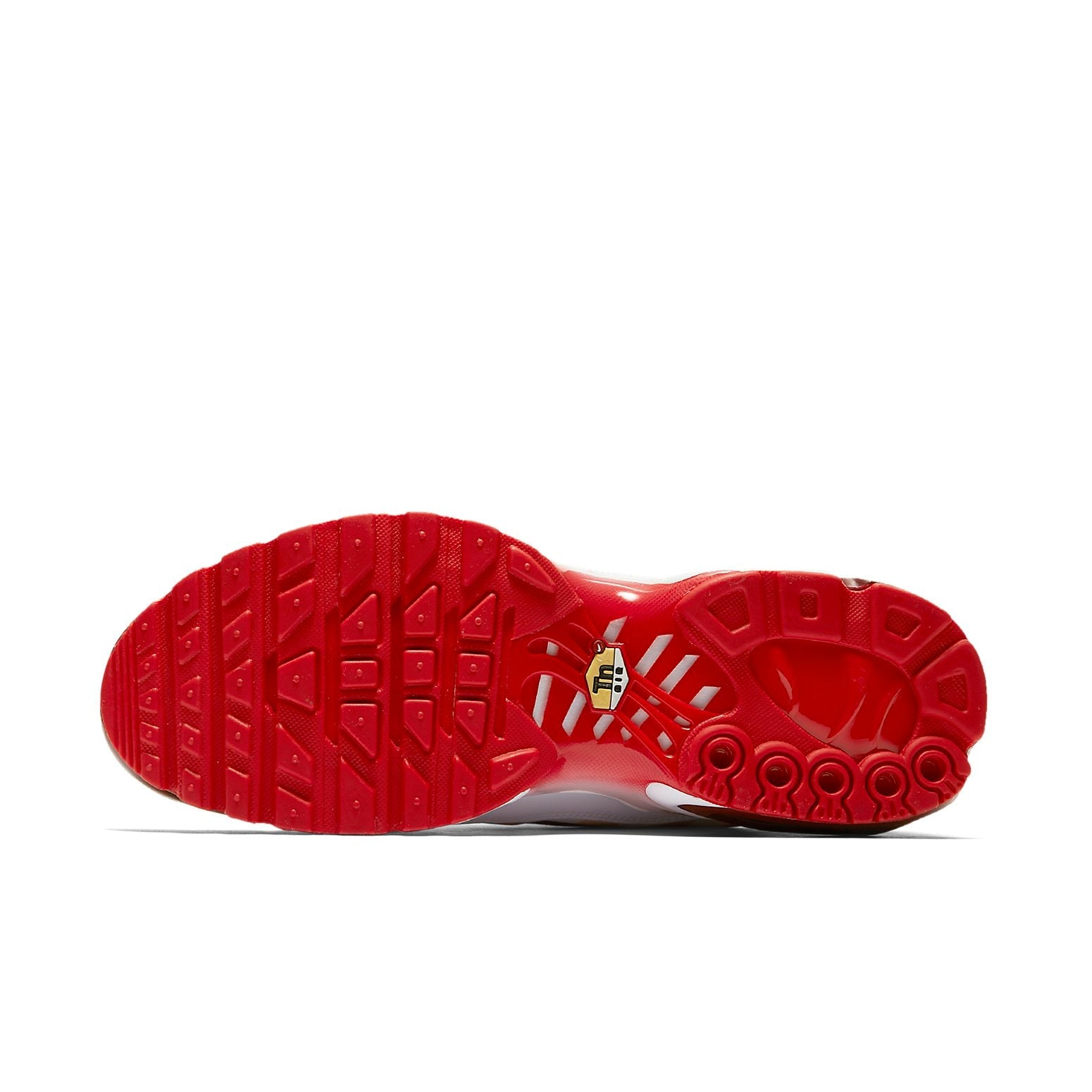 Nike Air Max Plus 'After the Bite' AQ0237-101