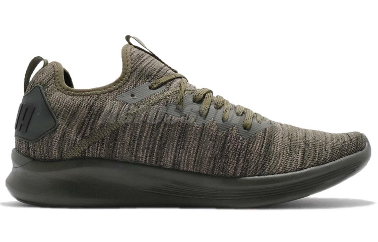 PUMA Ignite Flash evoKnit 'Forest Night' 190508-04