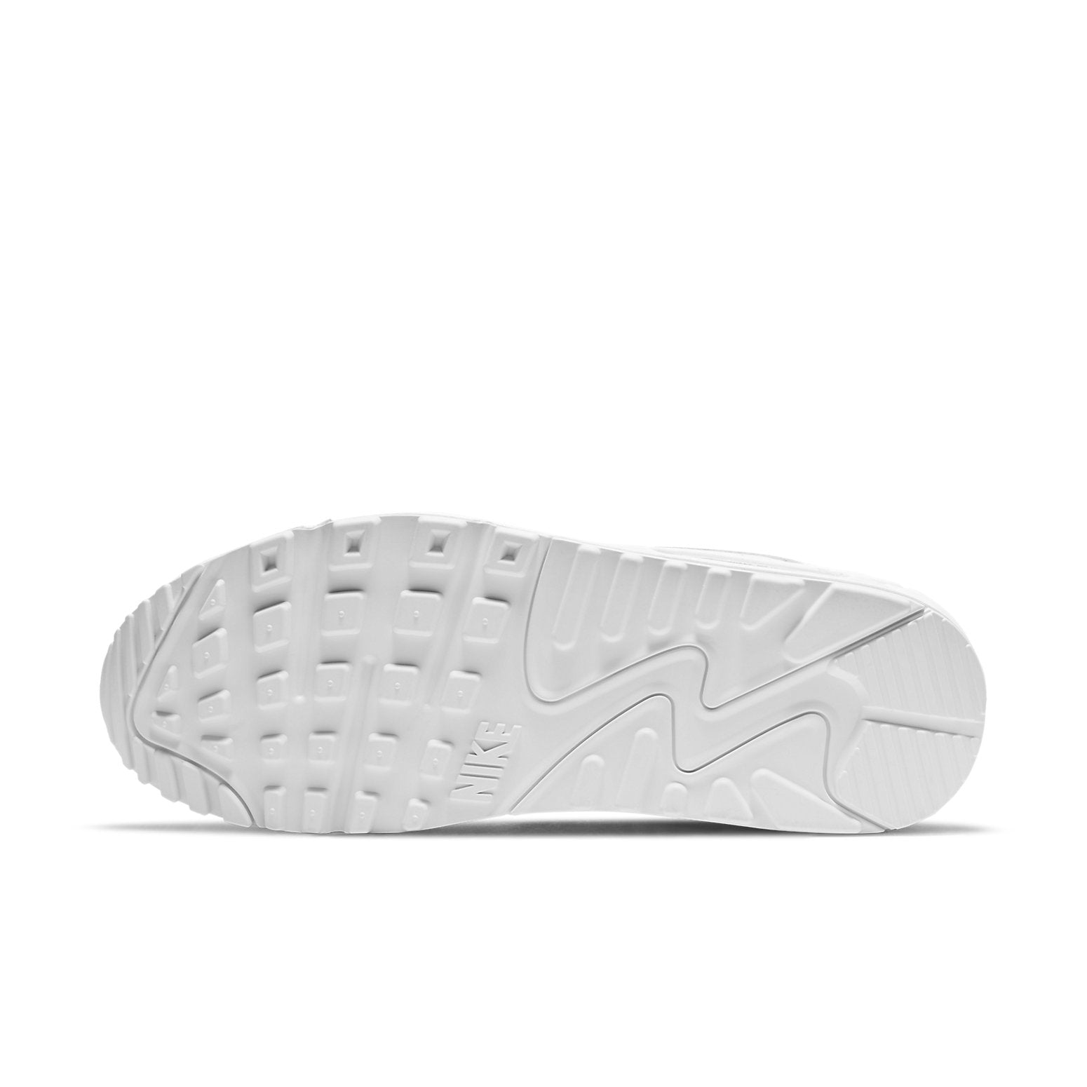 (WMNS) Nike Air Max 90 AX 'Leopard Print' DH4115-100