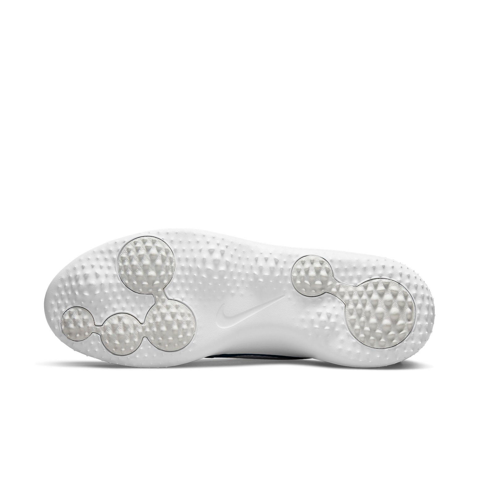 Nike Roshe Golf shoes 'Blue White' CD6065-403