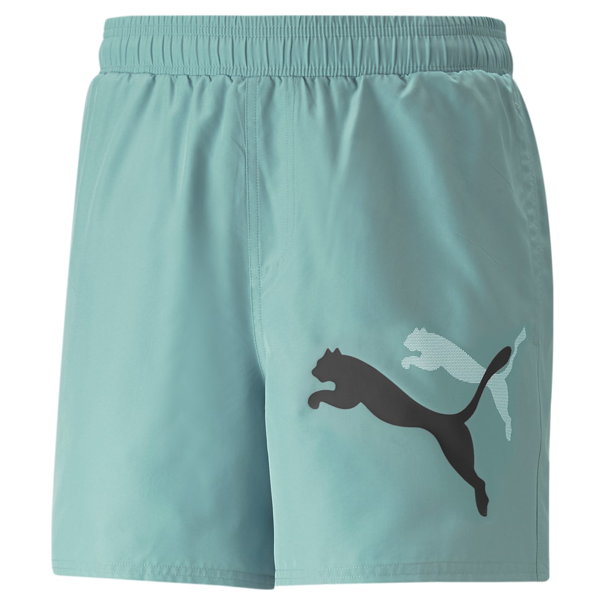 PUMA Essential Logo Power Woven Shorts 'Teal' 673382-84