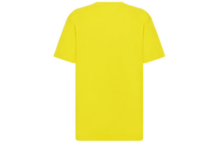 Men's DIOR x PETER DOIG Crossover FW21 Logo Embroidered Round Neck Short Sleeve Yellow T-Shirt 143J685C0677-C270