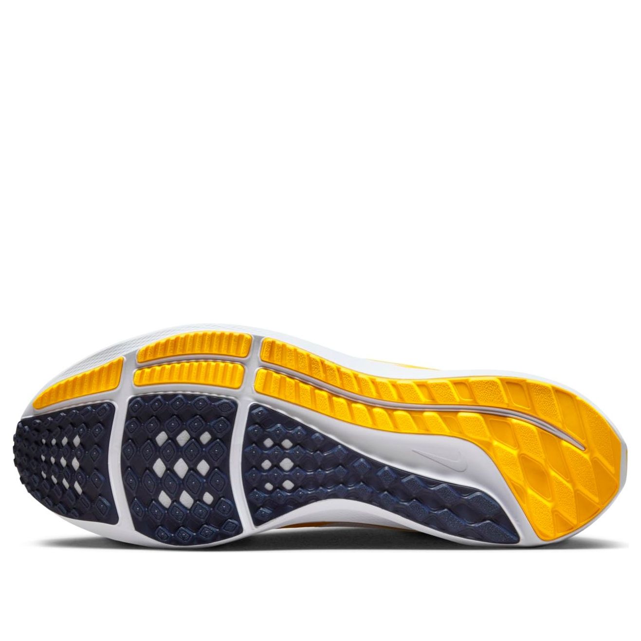 Nike Air Zoom Pegasus 40 'Michigan' DZ6001-100